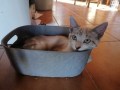 Maya (2)5